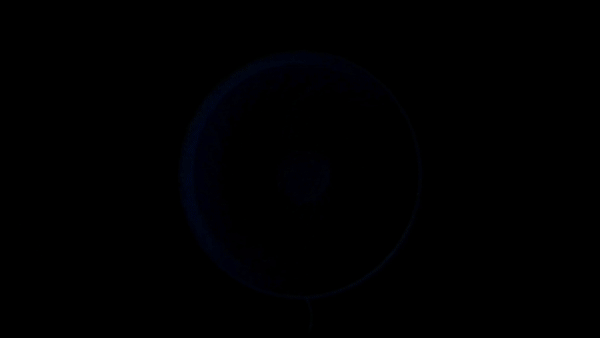 NH03_a01.gif